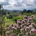 Caserio El Ajo Сasa de vacaciones *