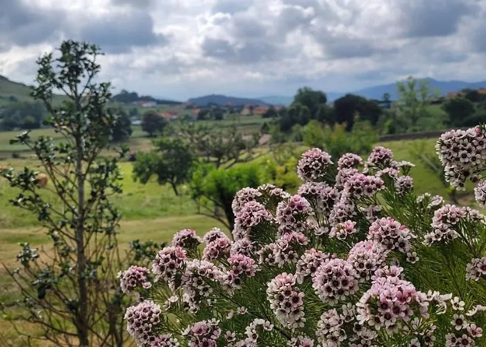 Caserio El Ajo Casa de Férias *